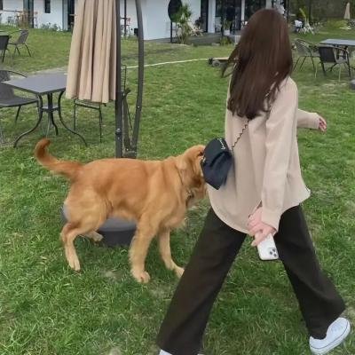 我们的法兰西岁月